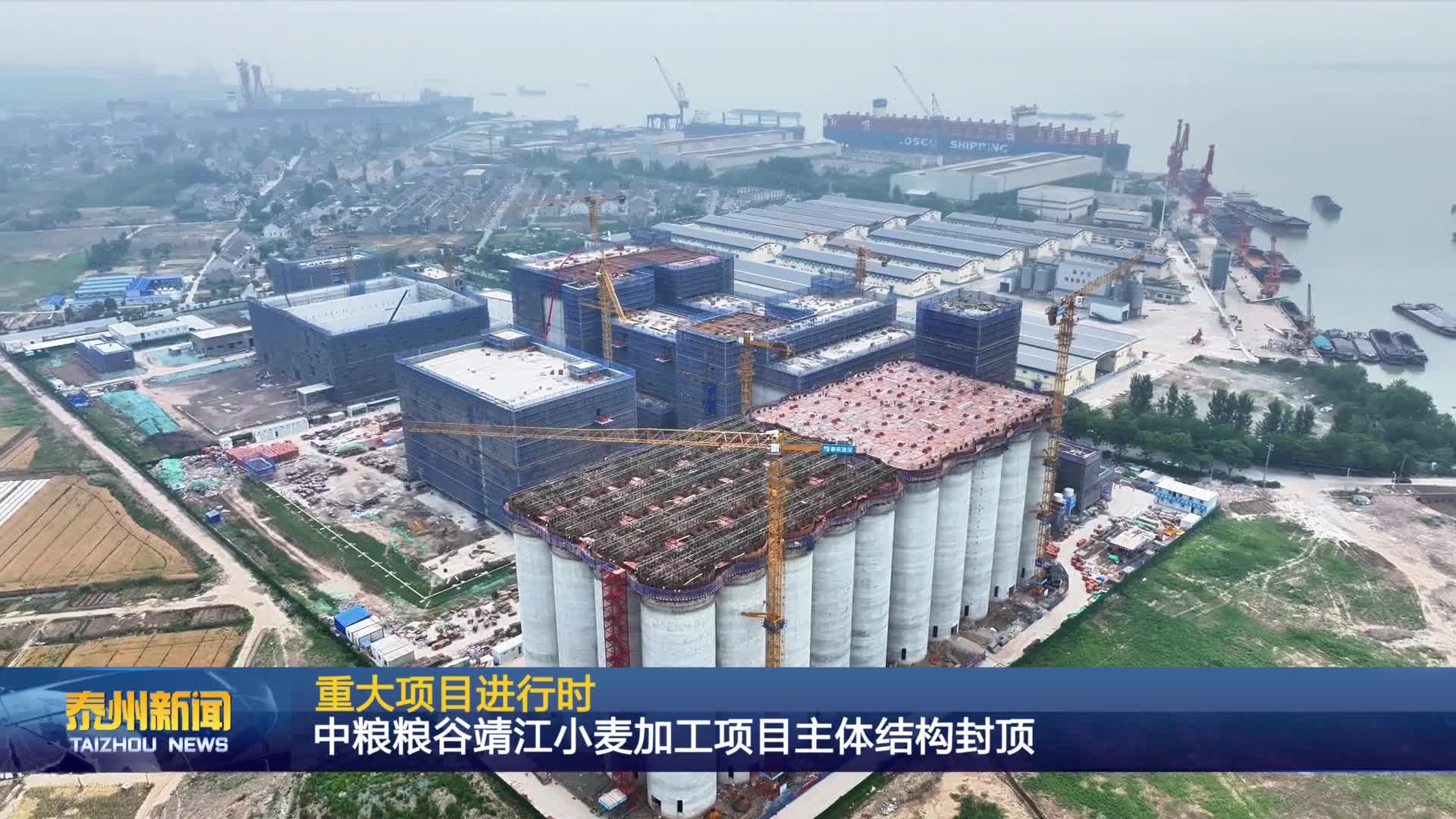 重大项目进行时  中粮粮谷靖江小麦加工项目主体结构封顶